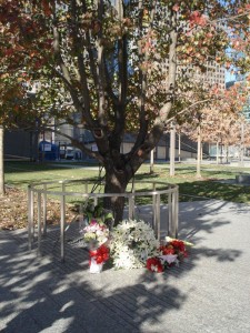 SOFC Visit to the 9/11 Memorial