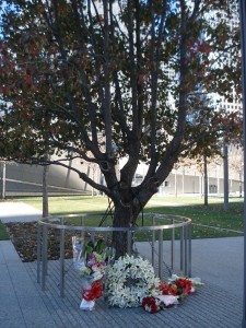 SOFC Visit to the 9/11 Memorial